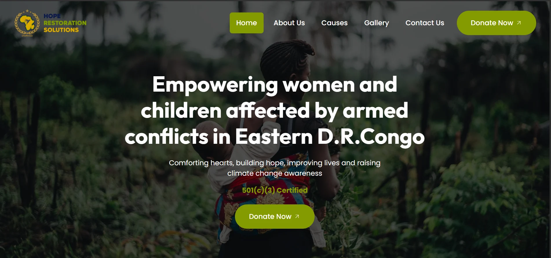 Hope Restoration Solutions nonprofit website project cover